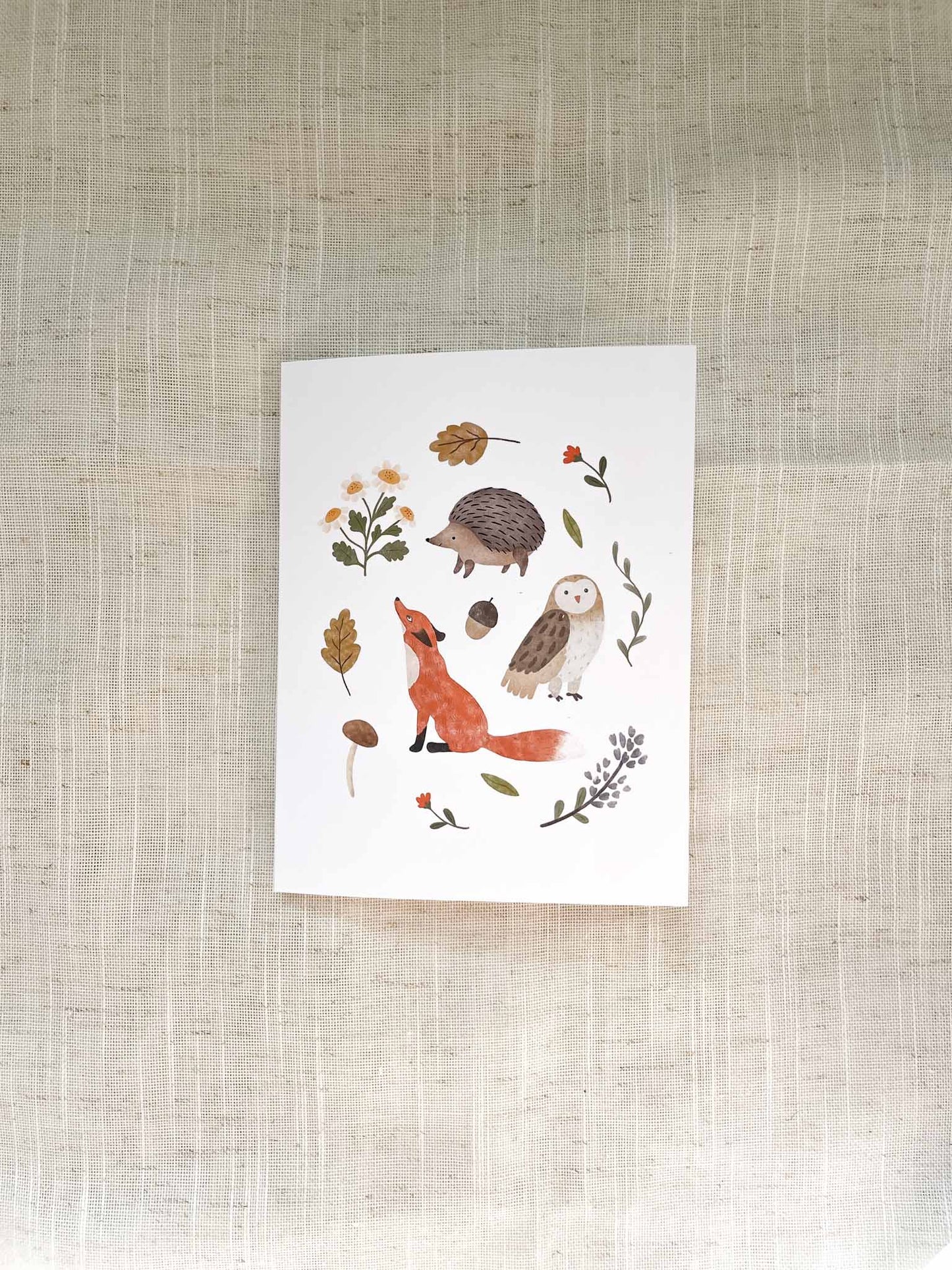 "Forest Friends” Greeting Cards