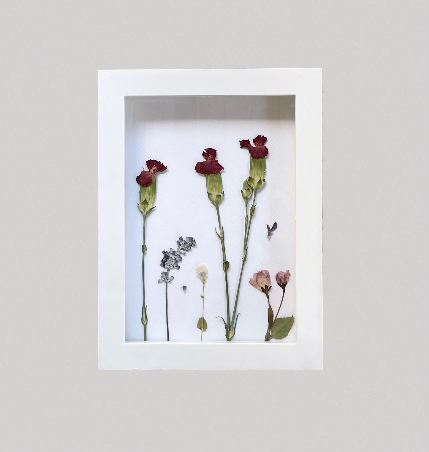 Garden Blooms - 5x7 Pressed Floral Shadow Box Set